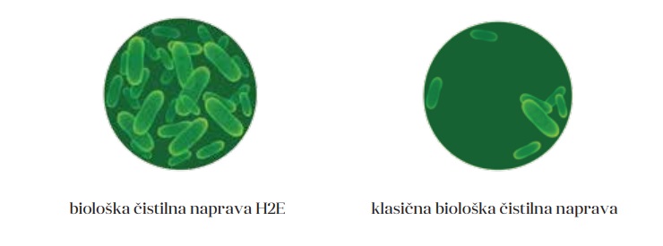 mikroorganizm